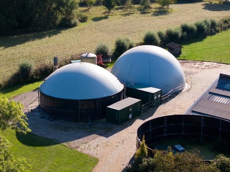 Hoge Hexel — Kopuła fermentacyjna